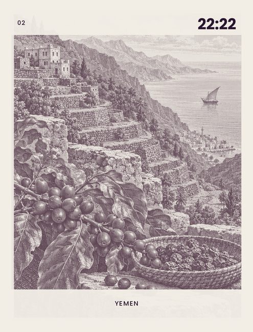 02 — The plant that emigrated.